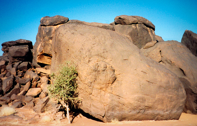 Bradshaw Foundation Rock Art Africa African Sahara Gallery Dabous Site Great Desert Photos Photographs Archaeology