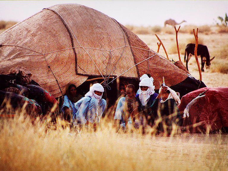 Sahara Exhibition - Exploring the Great Desert
