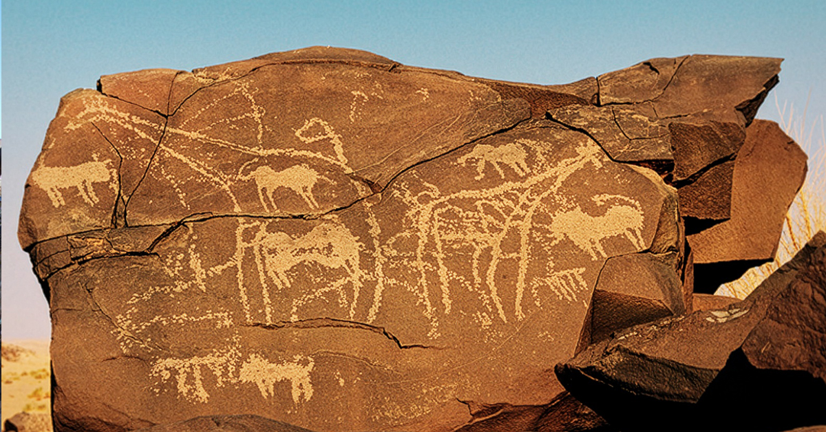 Bradshaw Foundation Facebook