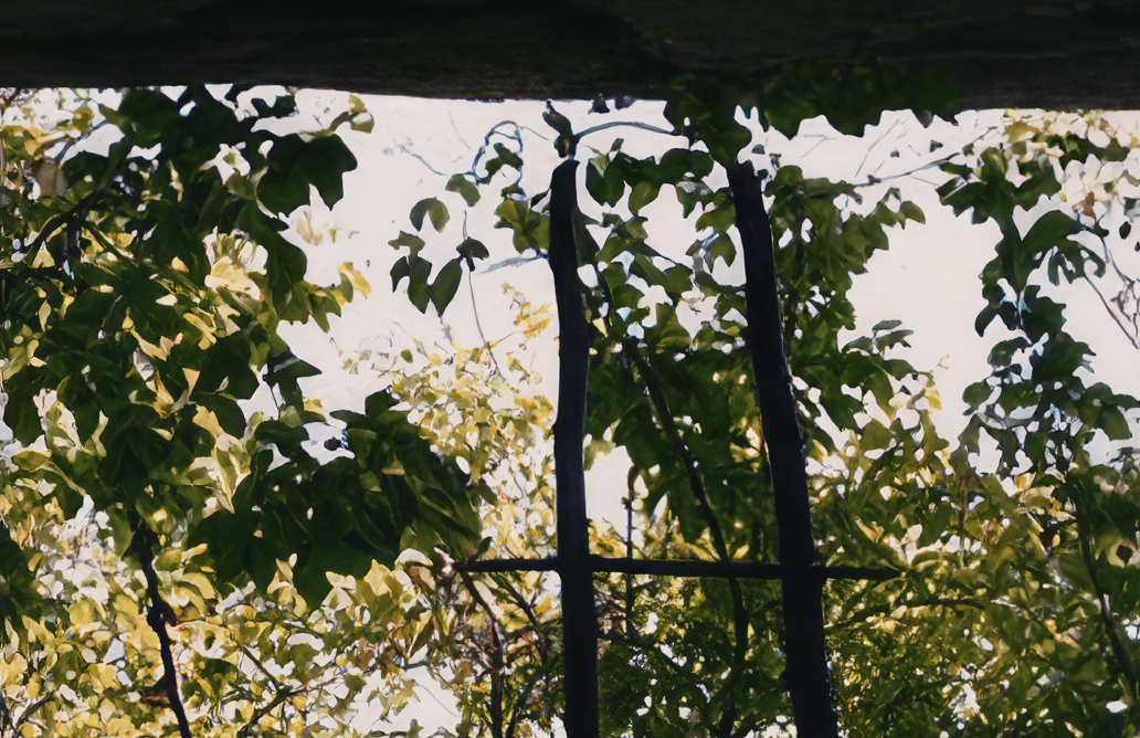 Rock Art of Singida & Lake Eyasi Basin Tanzania Africa Bradshaw Foundation