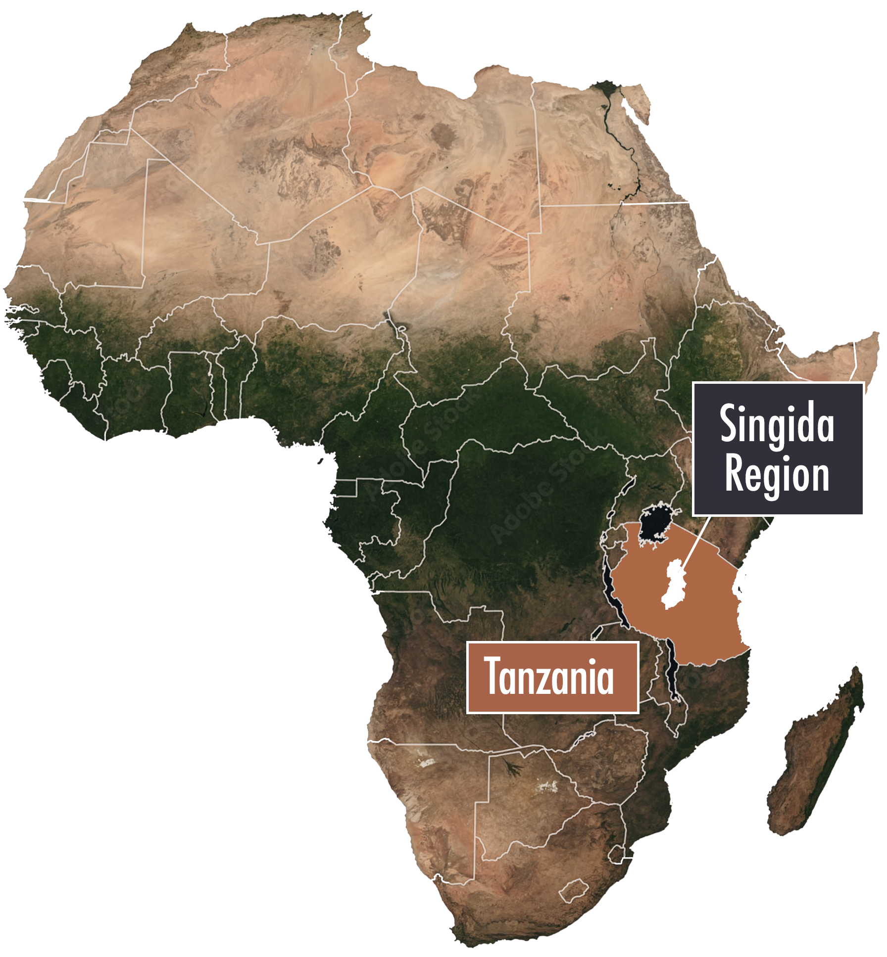 The Living Culture Foundation Namibia LCFN Africa