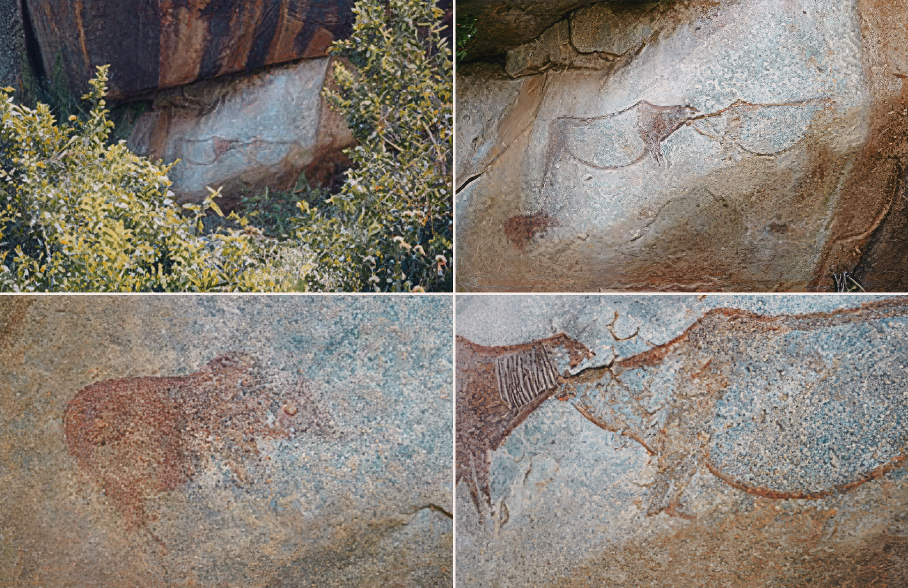 Mtintimo Rock Art of Singida & Lake Eyasi Basin Tanzania Africa