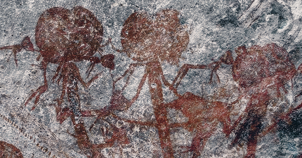 Bradshaw Foundation Twitter