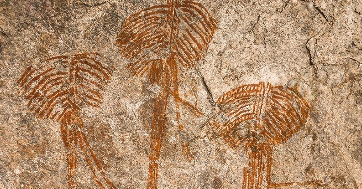 Bradshaw Foundation Facebook