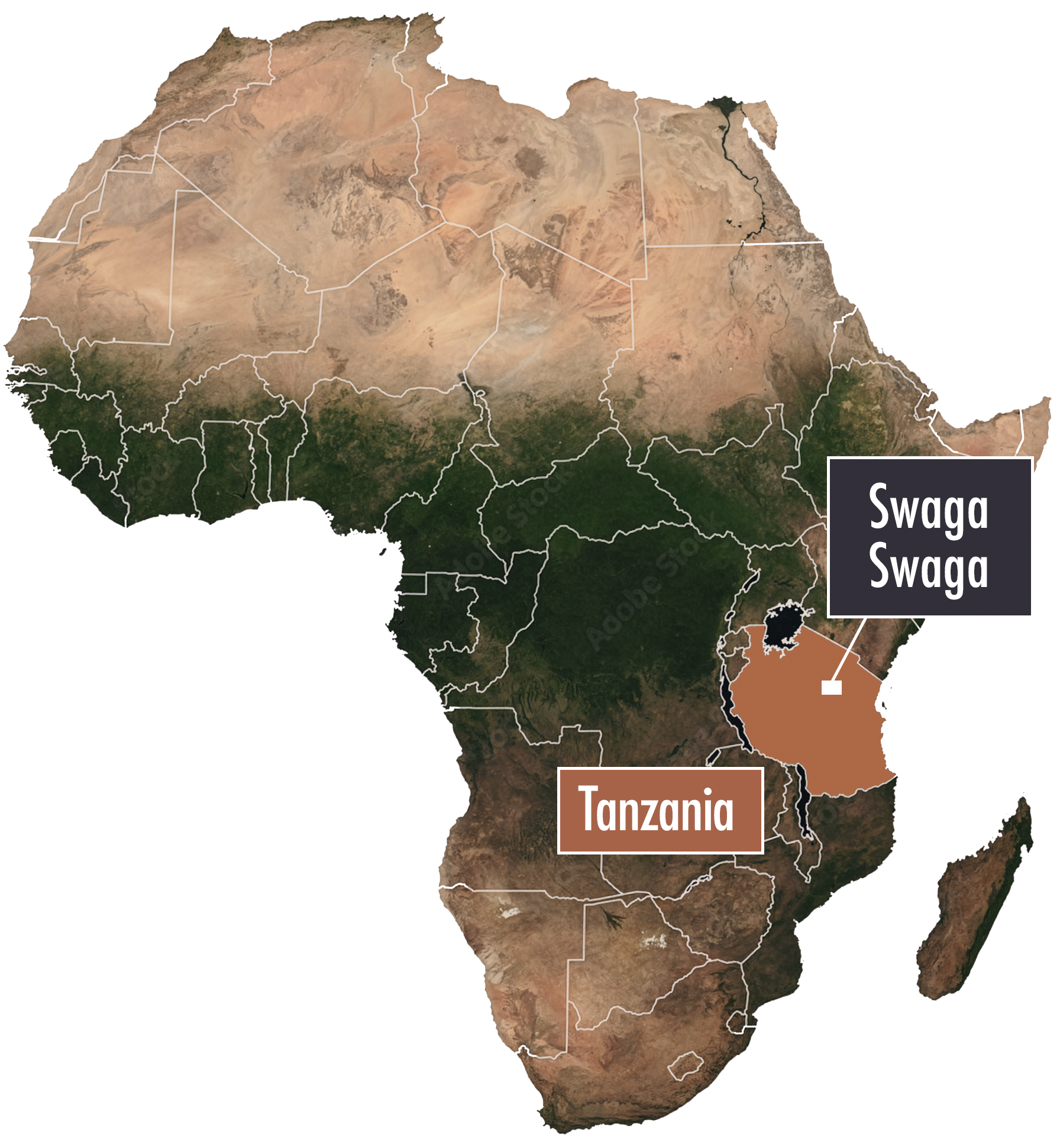 Documenting Rock Art at Swaga Swaga Game Reserve Tanzania Africa