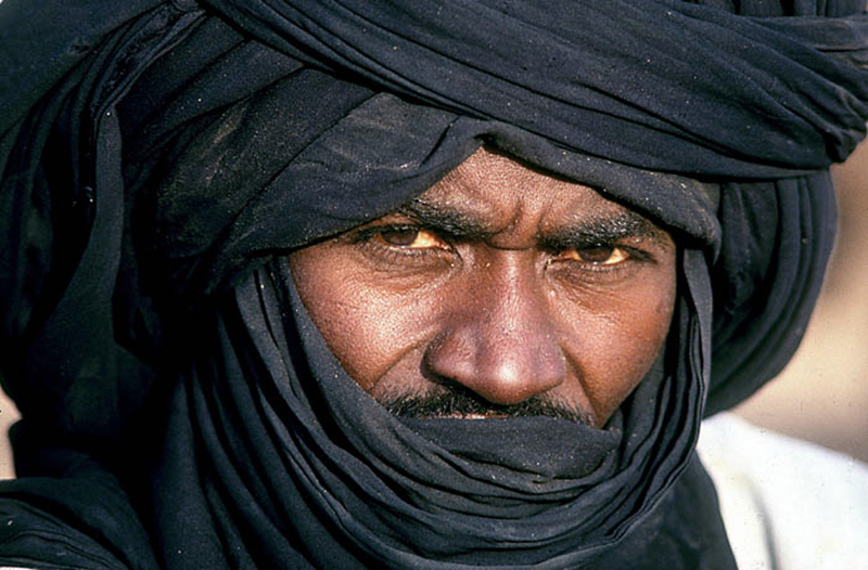 Tuareg Salt Caravans Niger Africa Bradshaw Foundation