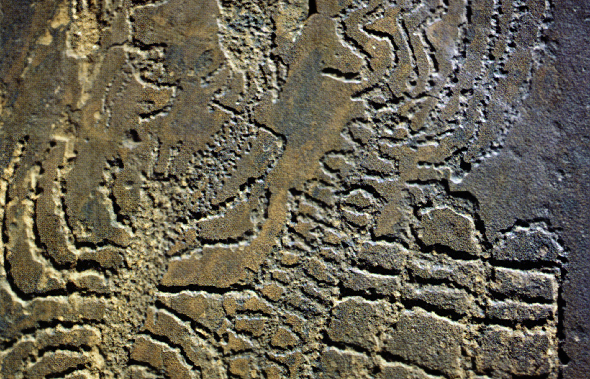 Arizona Rock Art Petroglyphs Pictographs Archaeology USA America Bradshaw Foundation Rock Art Network