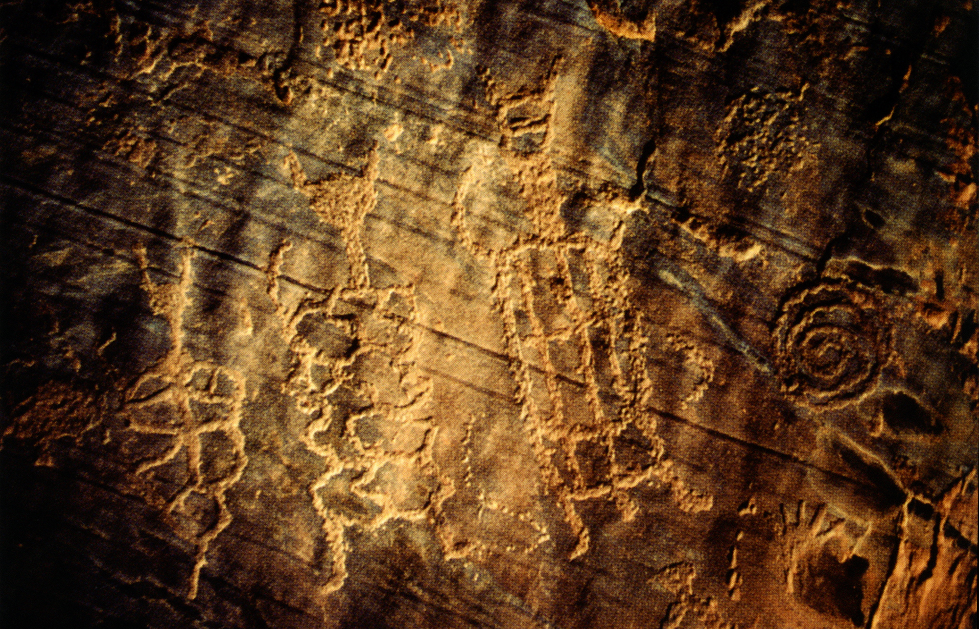 Arizona Rock Art Petroglyphs Pictographs Archaeology USA America Bradshaw Foundation Rock Art Network
