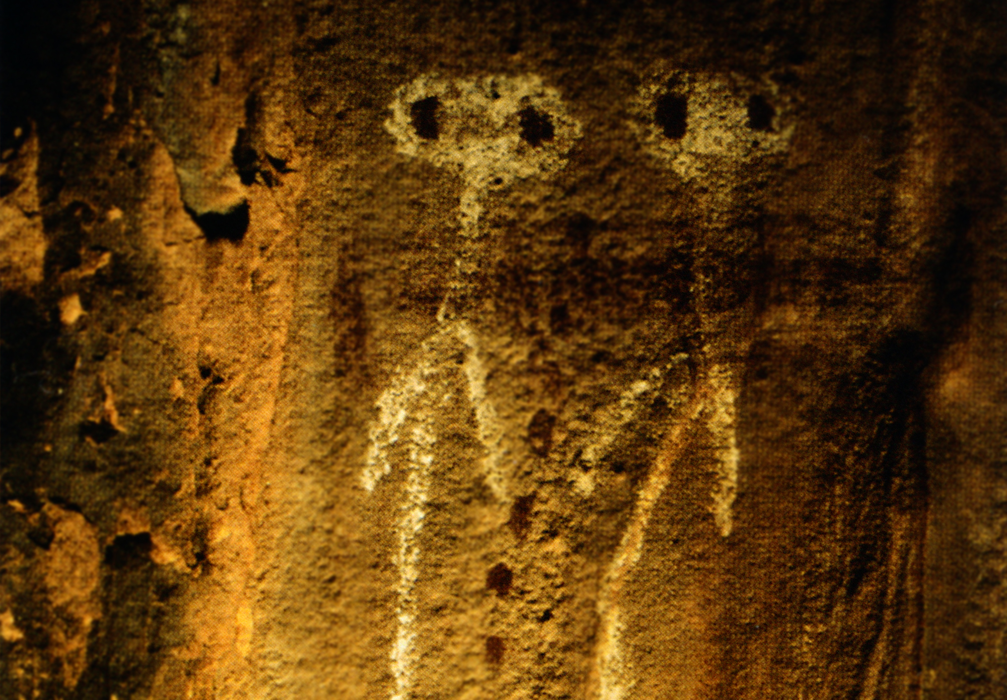 Arizona Rock Art Petroglyphs Pictographs Archaeology USA America Bradshaw Foundation Rock Art Network