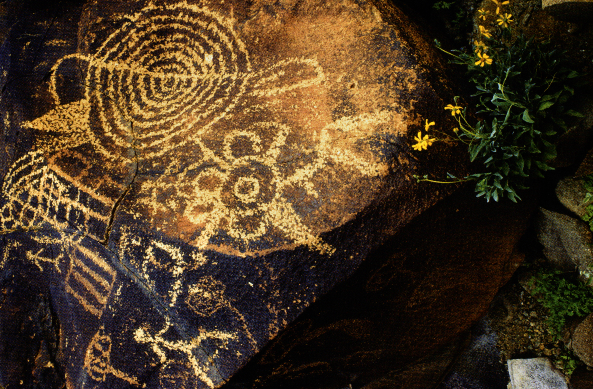 Arizona Rock Art Petroglyphs Pictographs Archaeology USA America Bradshaw Foundation Rock Art Network