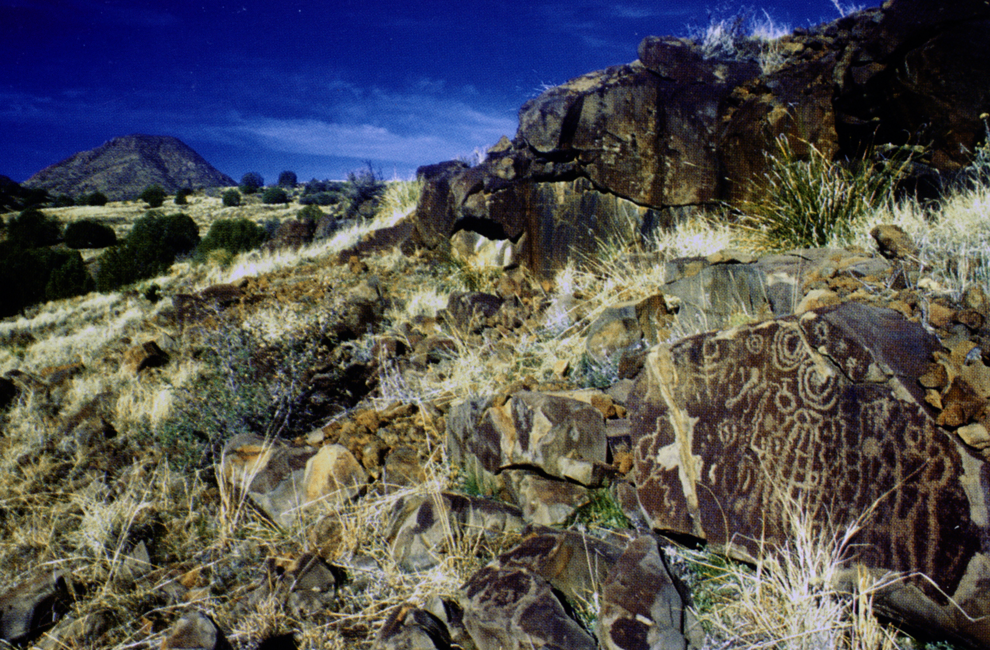 Arizona Rock Art Petroglyphs Pictographs Archaeology USA America Bradshaw Foundation Rock Art Network