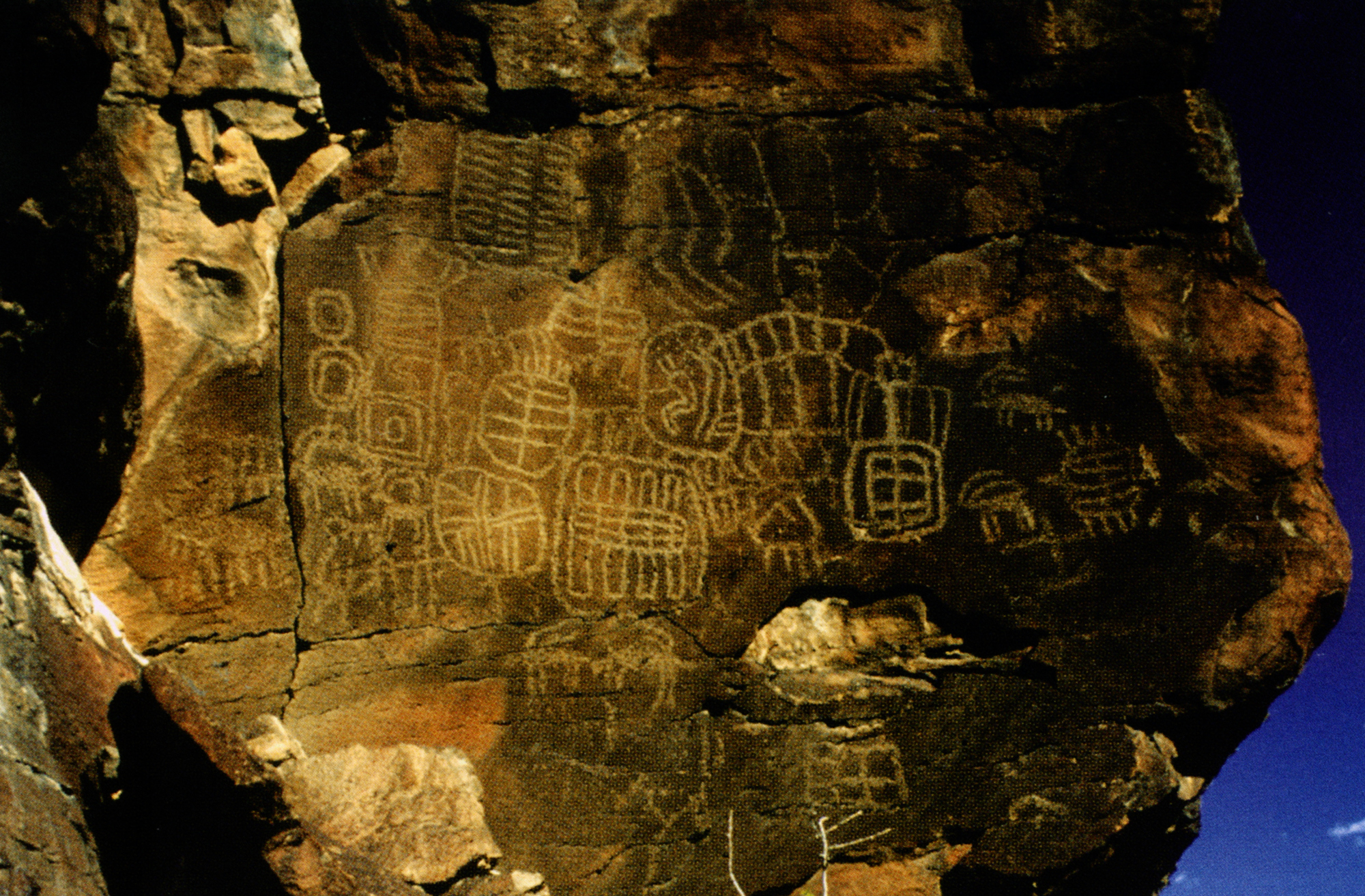 Arizona Rock Art Petroglyphs Pictographs Archaeology USA America Bradshaw Foundation Rock Art Network