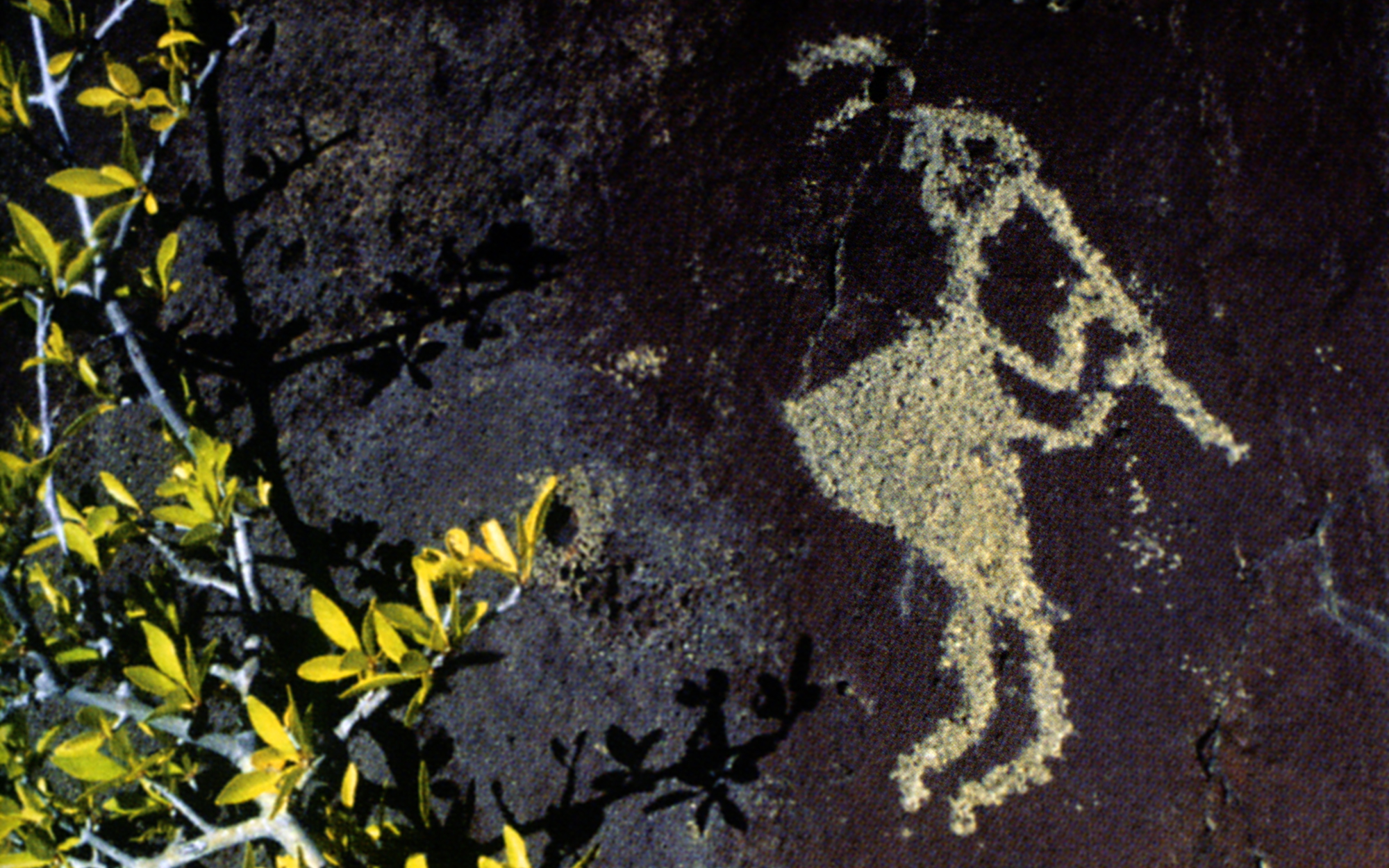 Arizona Rock Art Petroglyphs Pictographs Archaeology USA America Bradshaw Foundation Rock Art Network