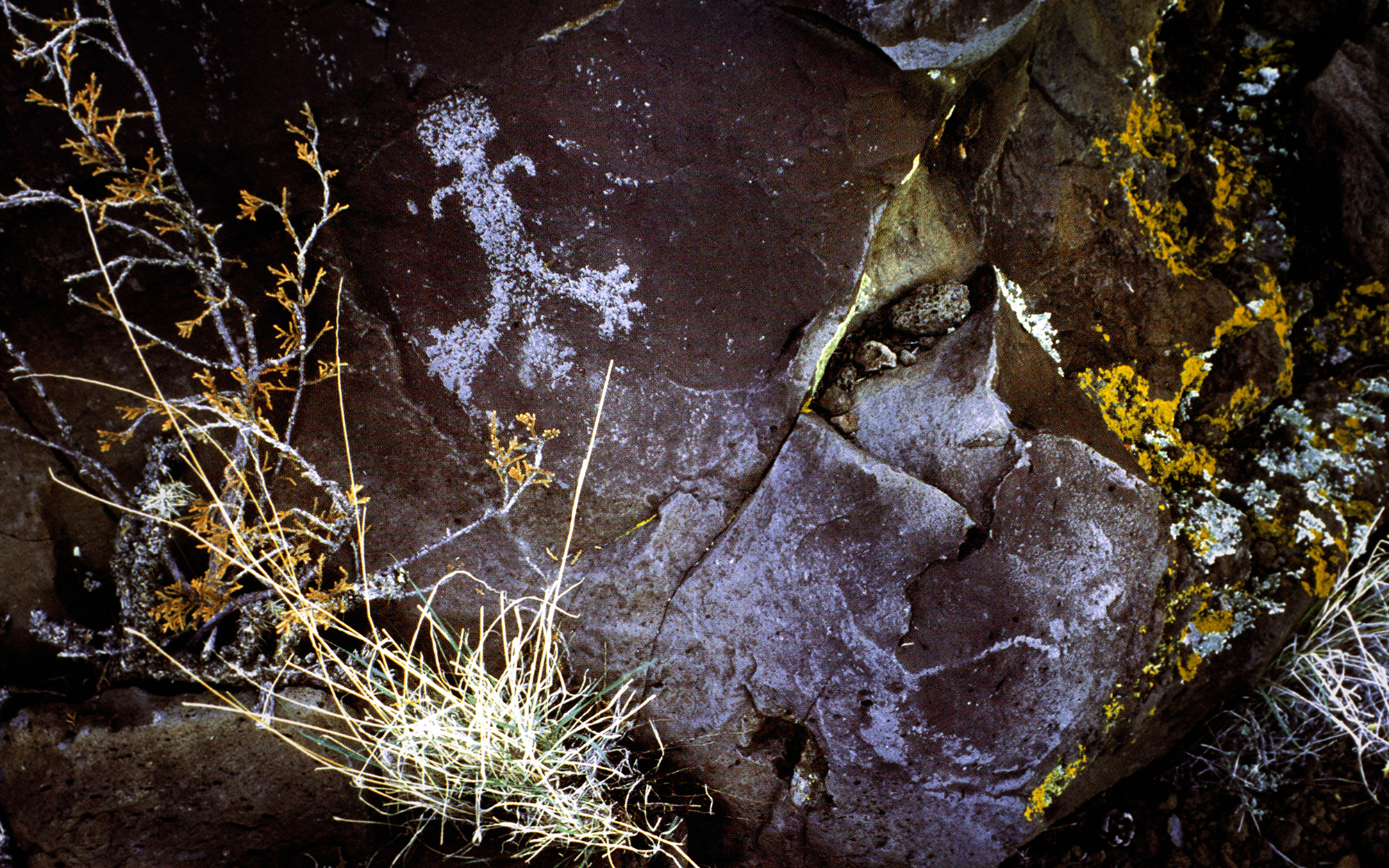 Arizona Rock Art Petroglyphs Pictographs Archaeology USA America Bradshaw Foundation Rock Art Network