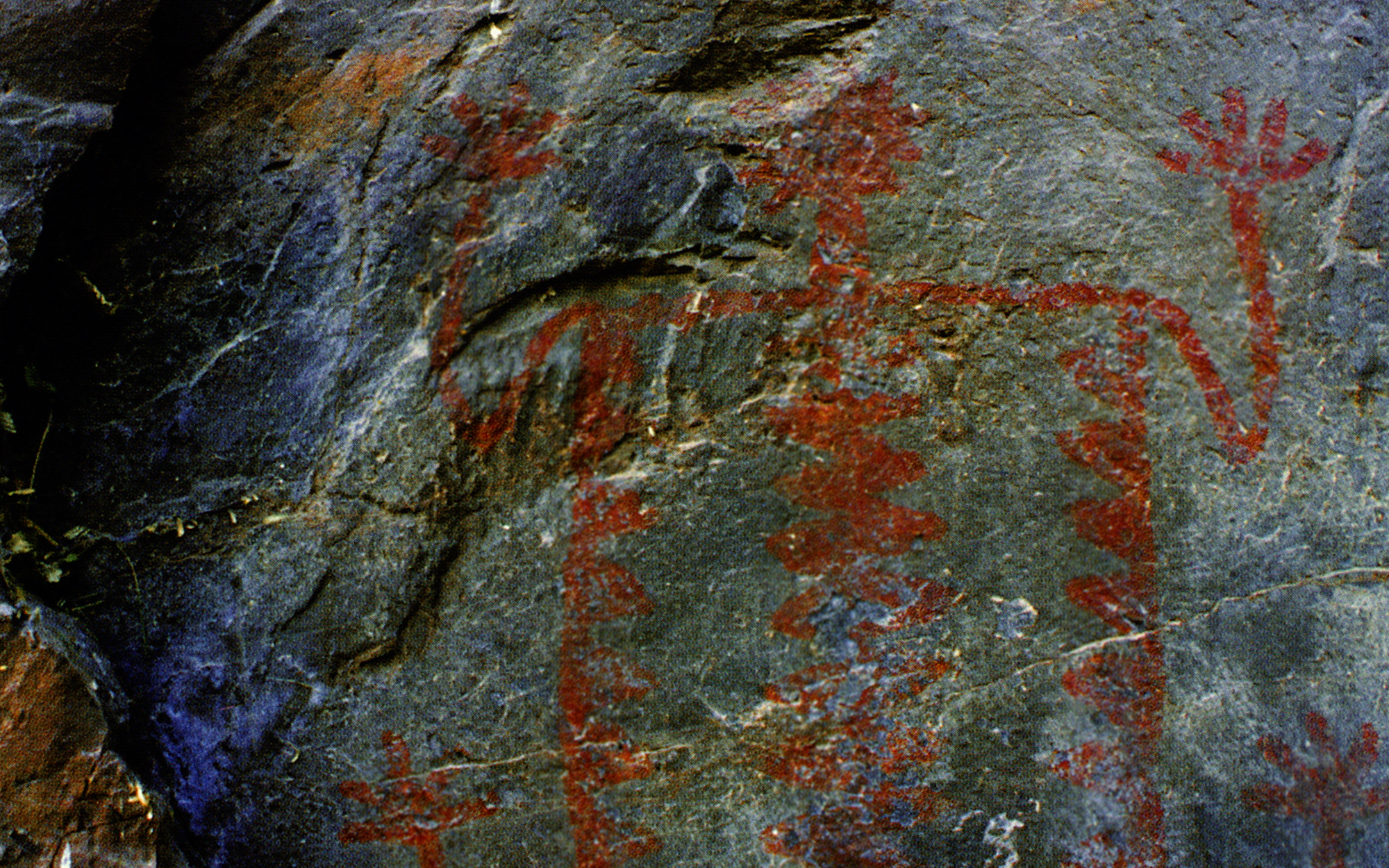 Arizona Rock Art Petroglyphs Pictographs Archaeology USA America Bradshaw Foundation Rock Art Network