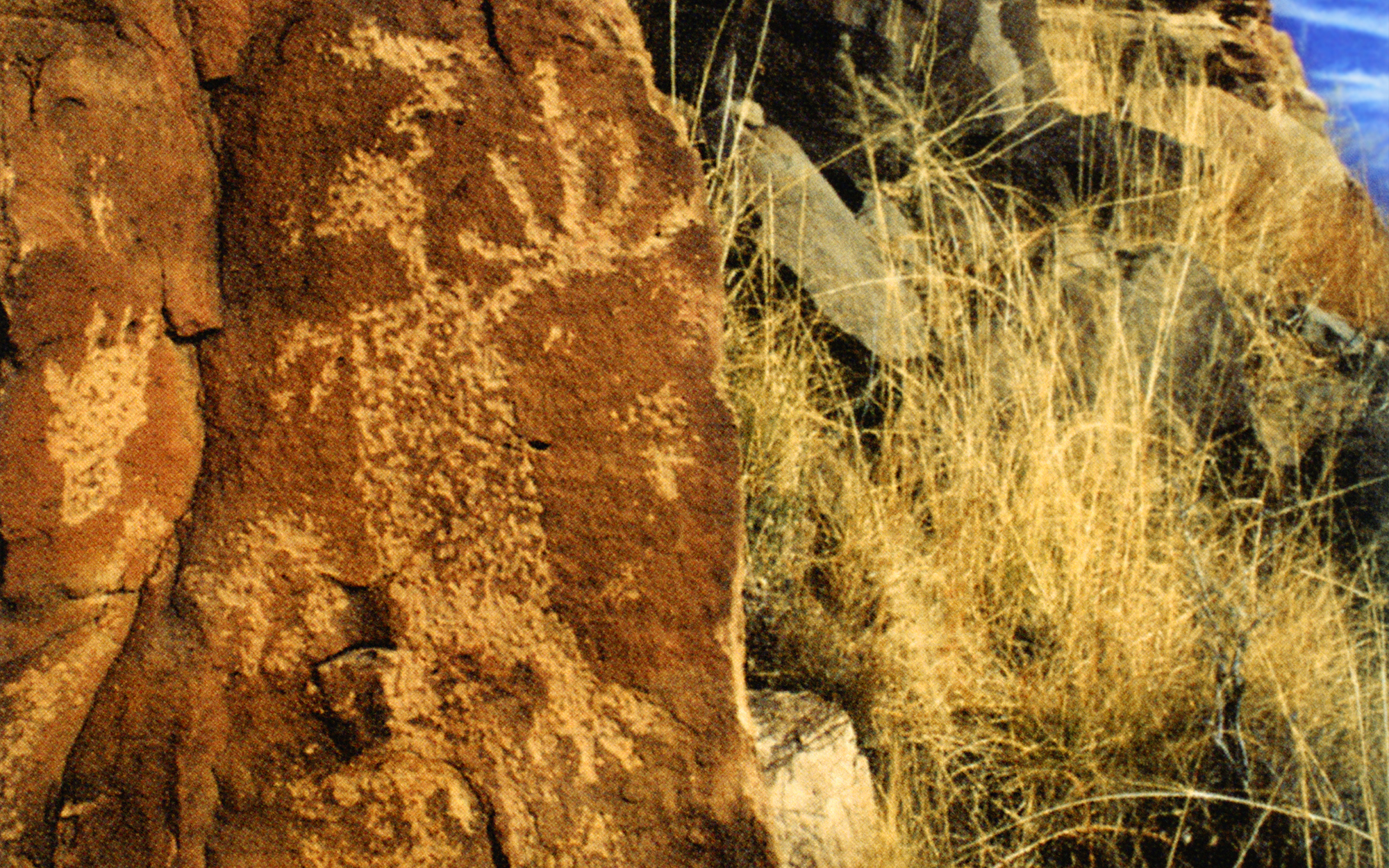 Arizona Rock Art Petroglyphs Pictographs Archaeology USA America Bradshaw Foundation Rock Art Network