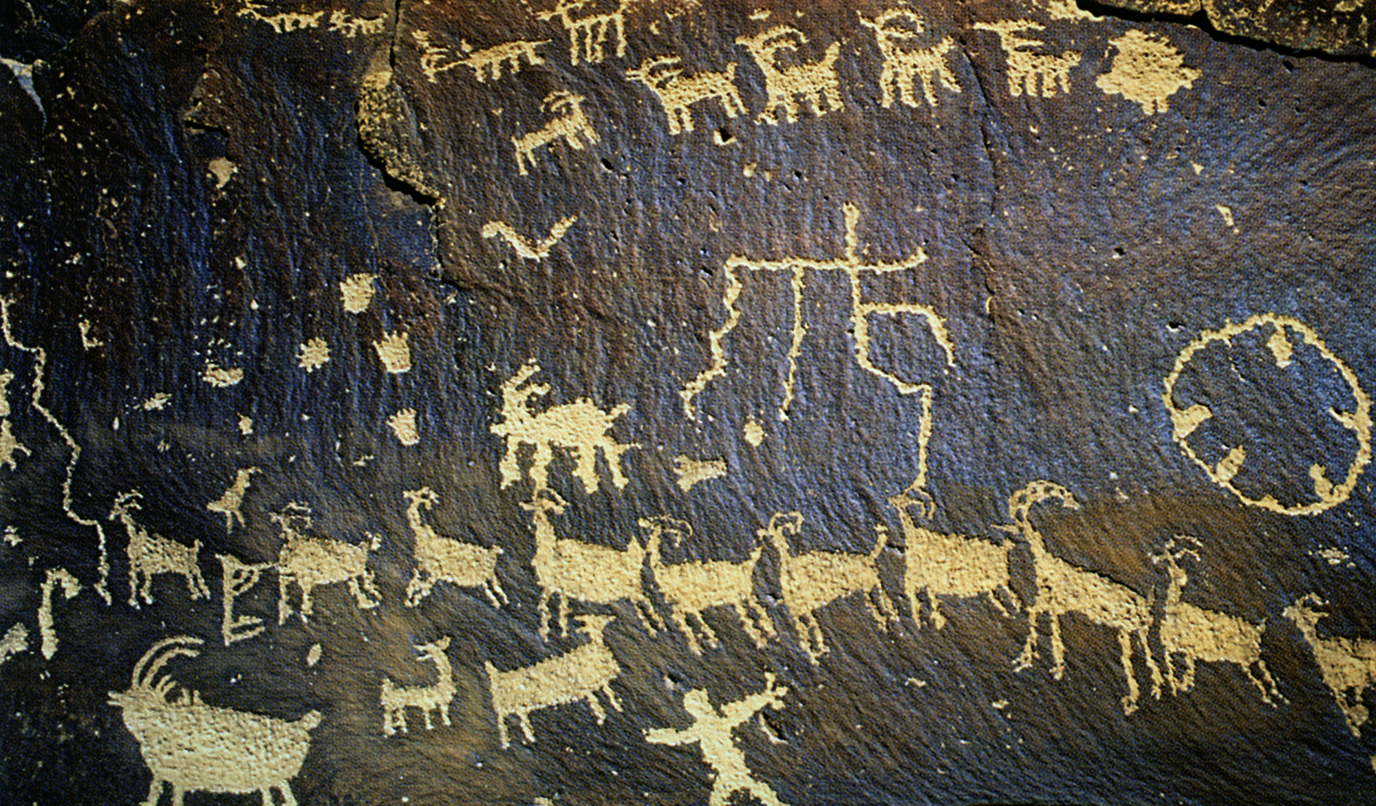 Arizona Rock Art Petroglyphs Pictographs Archaeology USA America Bradshaw Foundation Rock Art Network