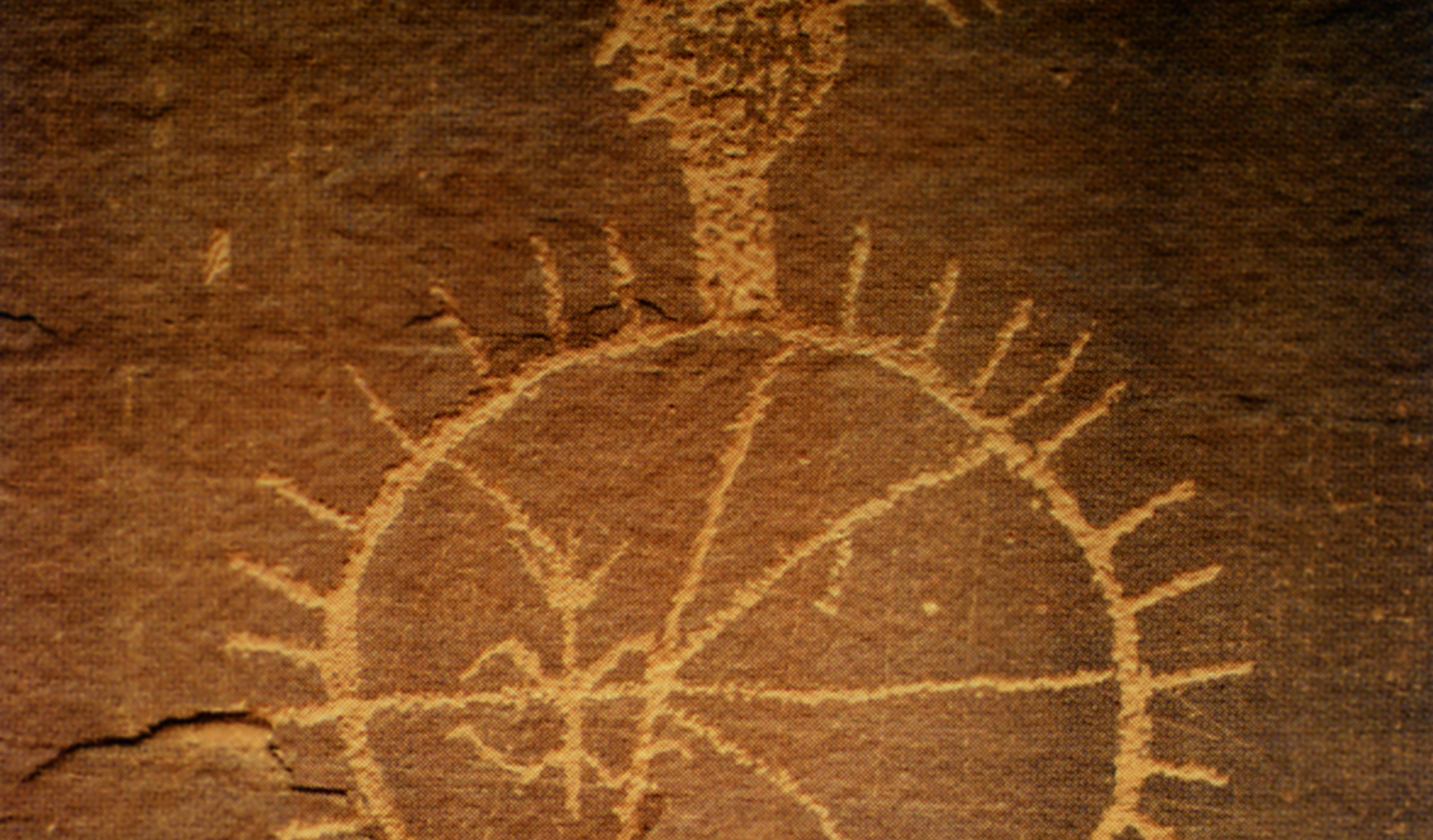 Arizona Rock Art Petroglyphs Pictographs Archaeology USA America Bradshaw Foundation Rock Art Network