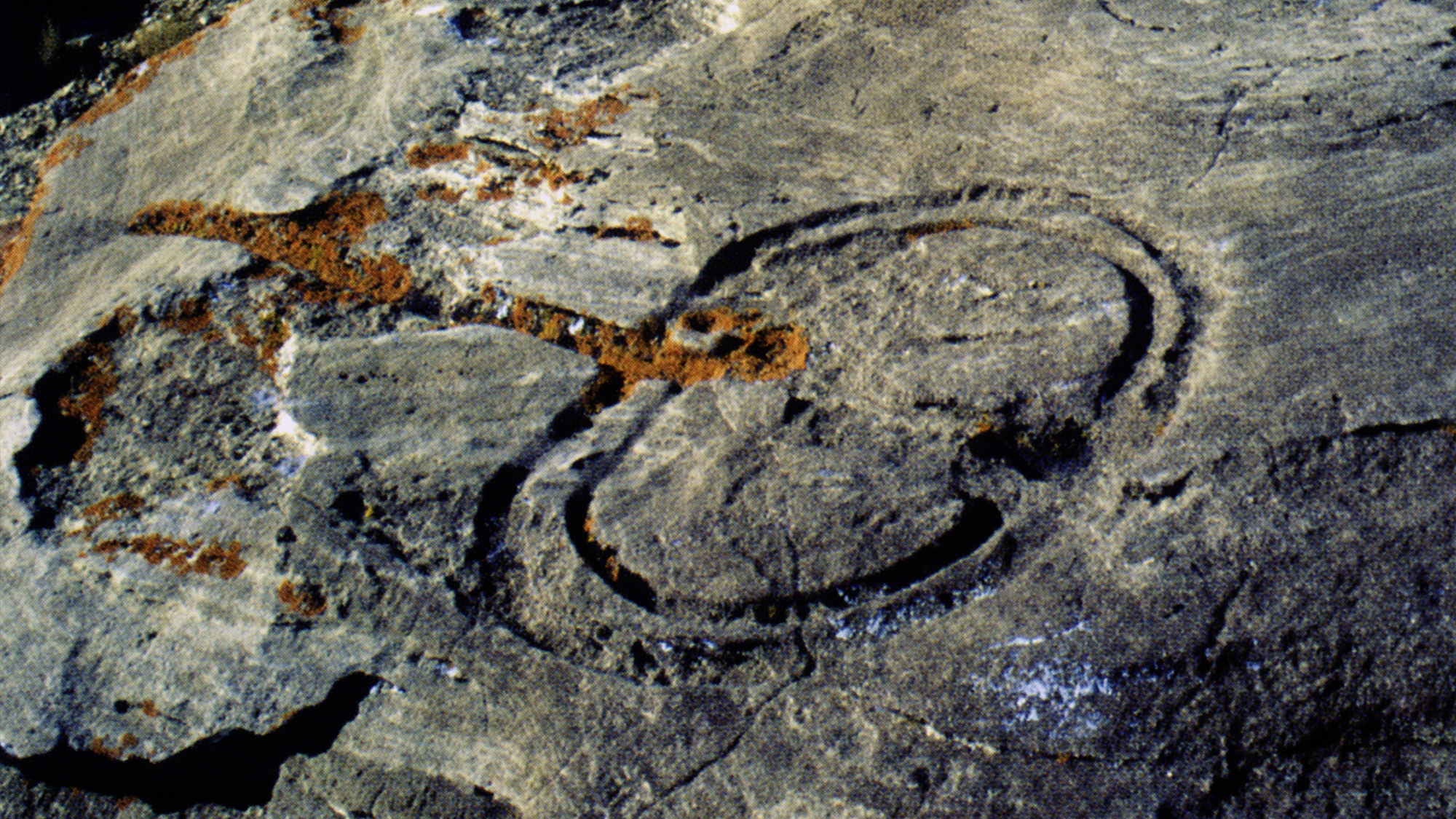 Arizona Rock Art Petroglyphs Pictographs Archaeology USA America Bradshaw Foundation Rock Art Network