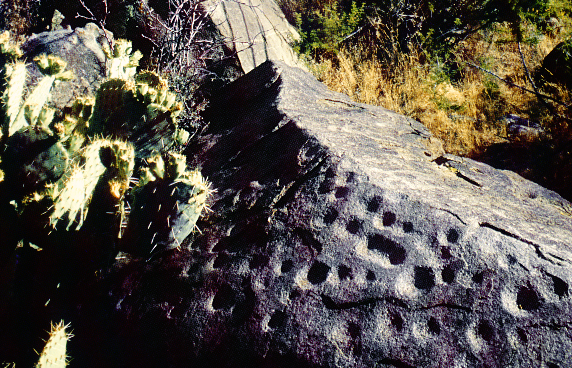 Arizona Rock Art Petroglyphs Pictographs Archaeology USA America Bradshaw Foundation Rock Art Network