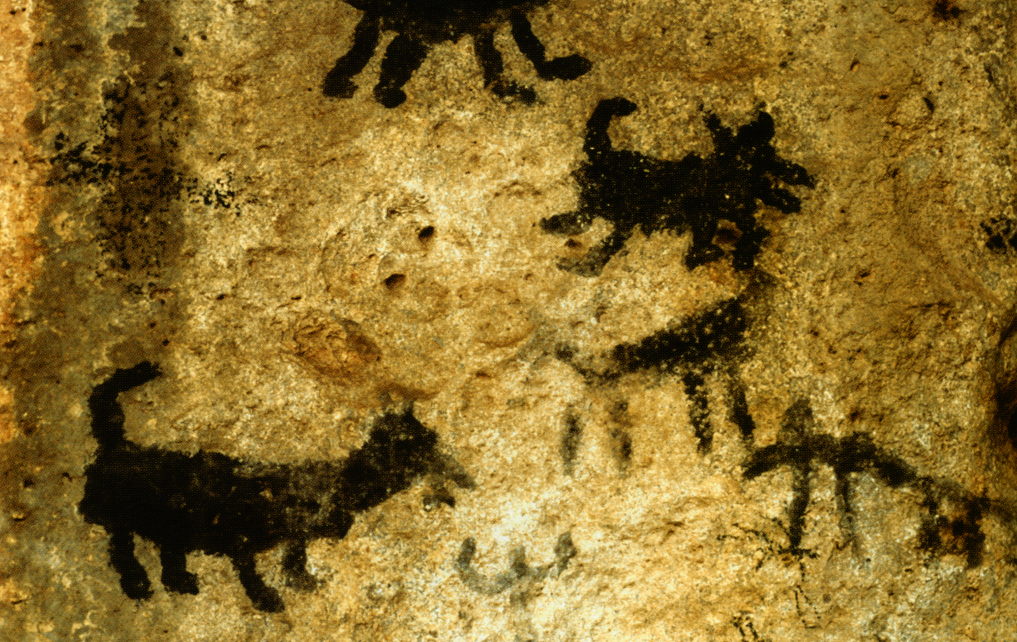 Arizona Rock Art Petroglyphs Pictographs Archaeology USA America Bradshaw Foundation Rock Art Network