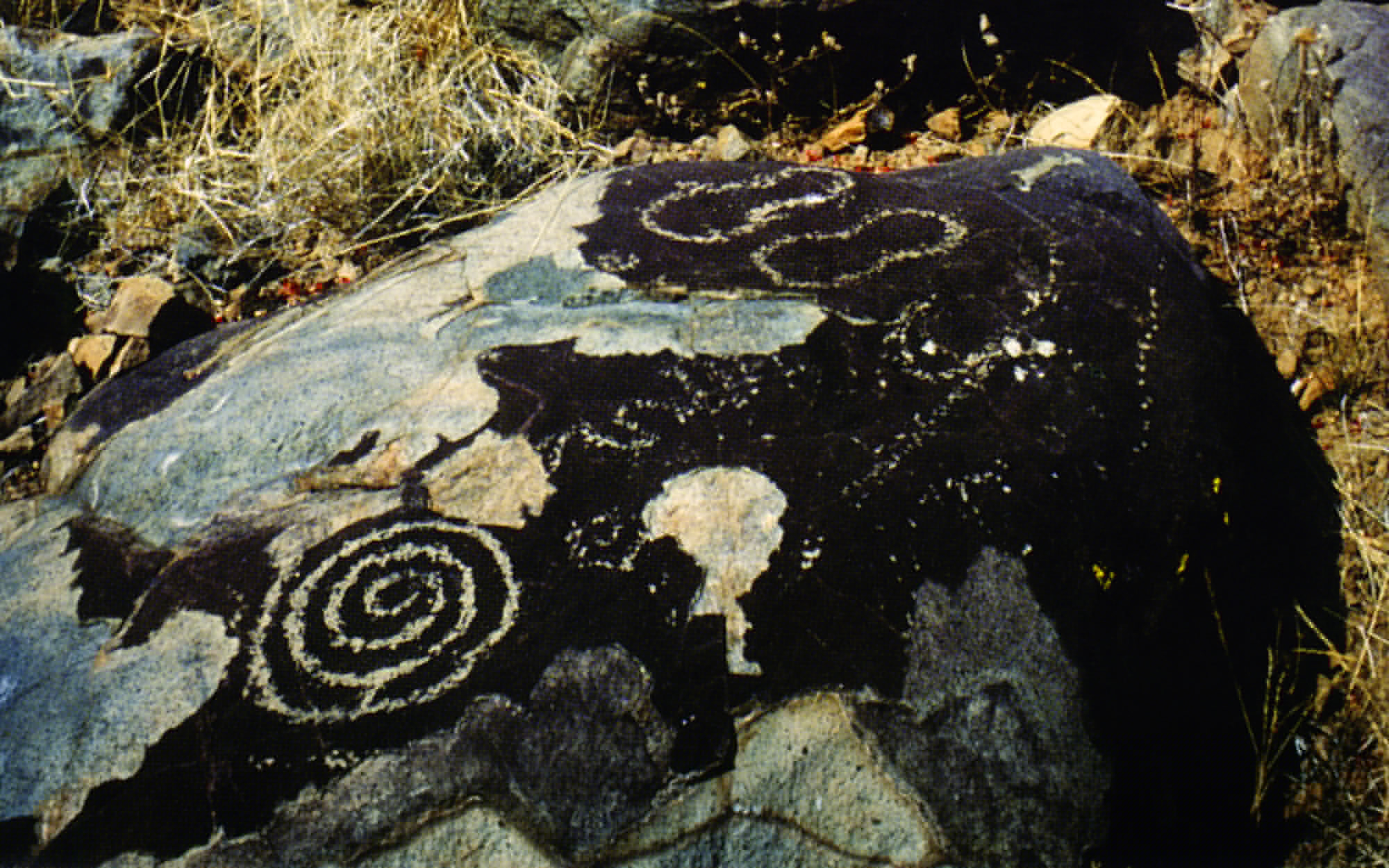 Arizona Rock Art Petroglyphs Pictographs Archaeology USA America Bradshaw Foundation Rock Art Network