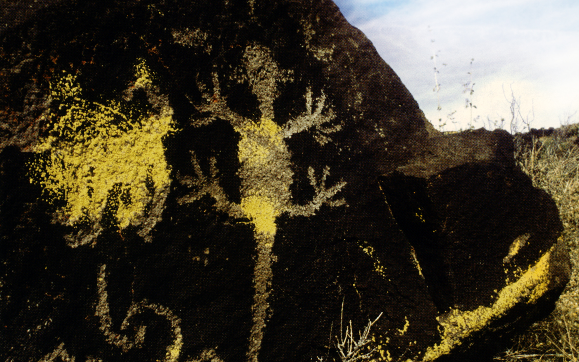 Arizona Rock Art Petroglyphs Pictographs Archaeology USA America Bradshaw Foundation Rock Art Network