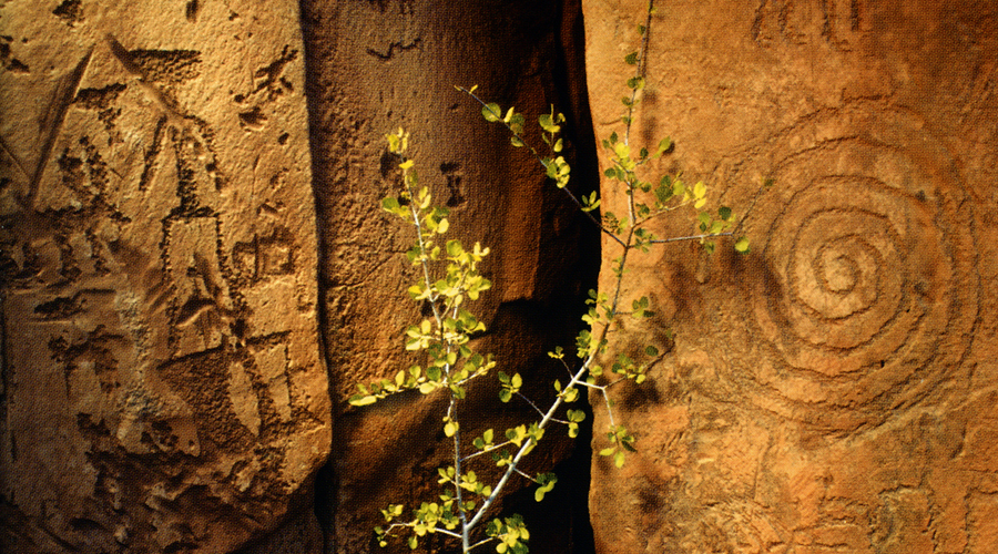 Arizona Rock Art America United States Petroglyphs Pictographs Archaeology Prehistory Rockart