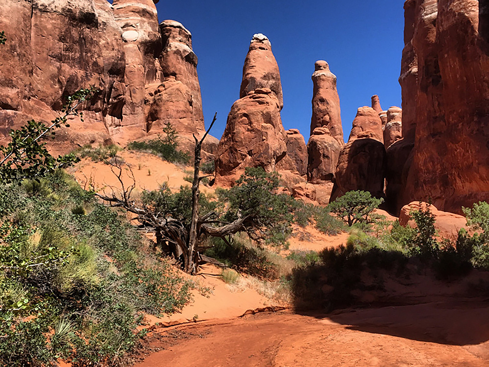 Rock Art Moab Region Utah Petroglyphs Pictographs America USA Archaeology Bradshaw Foundation