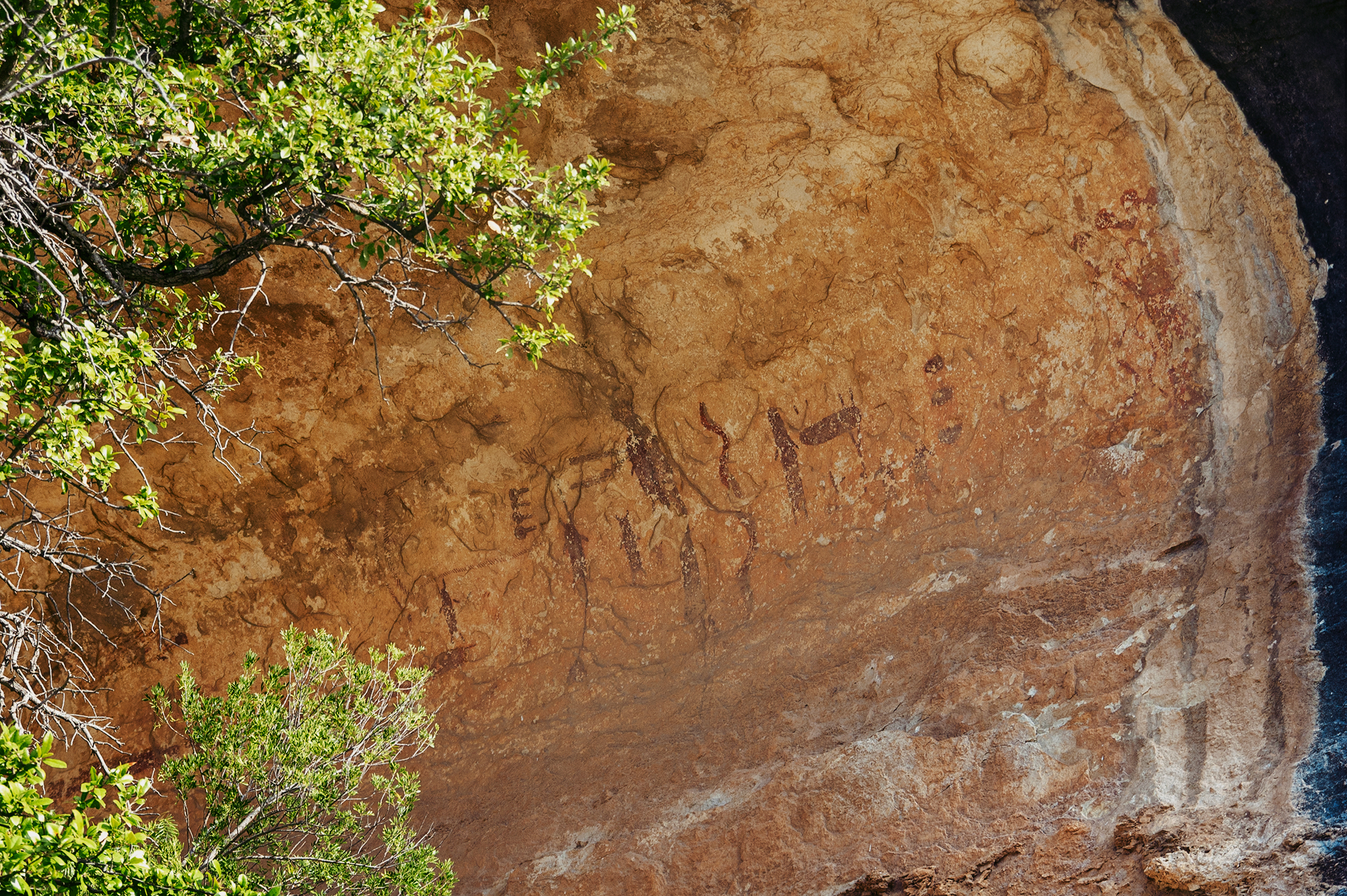 Fate Bell Shelter Lower Pecos Canyonlands Rock Art America Texas United States Petroglyphs Pictographs Archaeology Prehistory Rockart