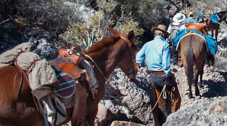 Bradshaw Foundation America Rock Art America United States Petroglyphs Pictographs Archaeology Prehistory Rockart