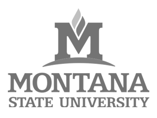 Montana State University