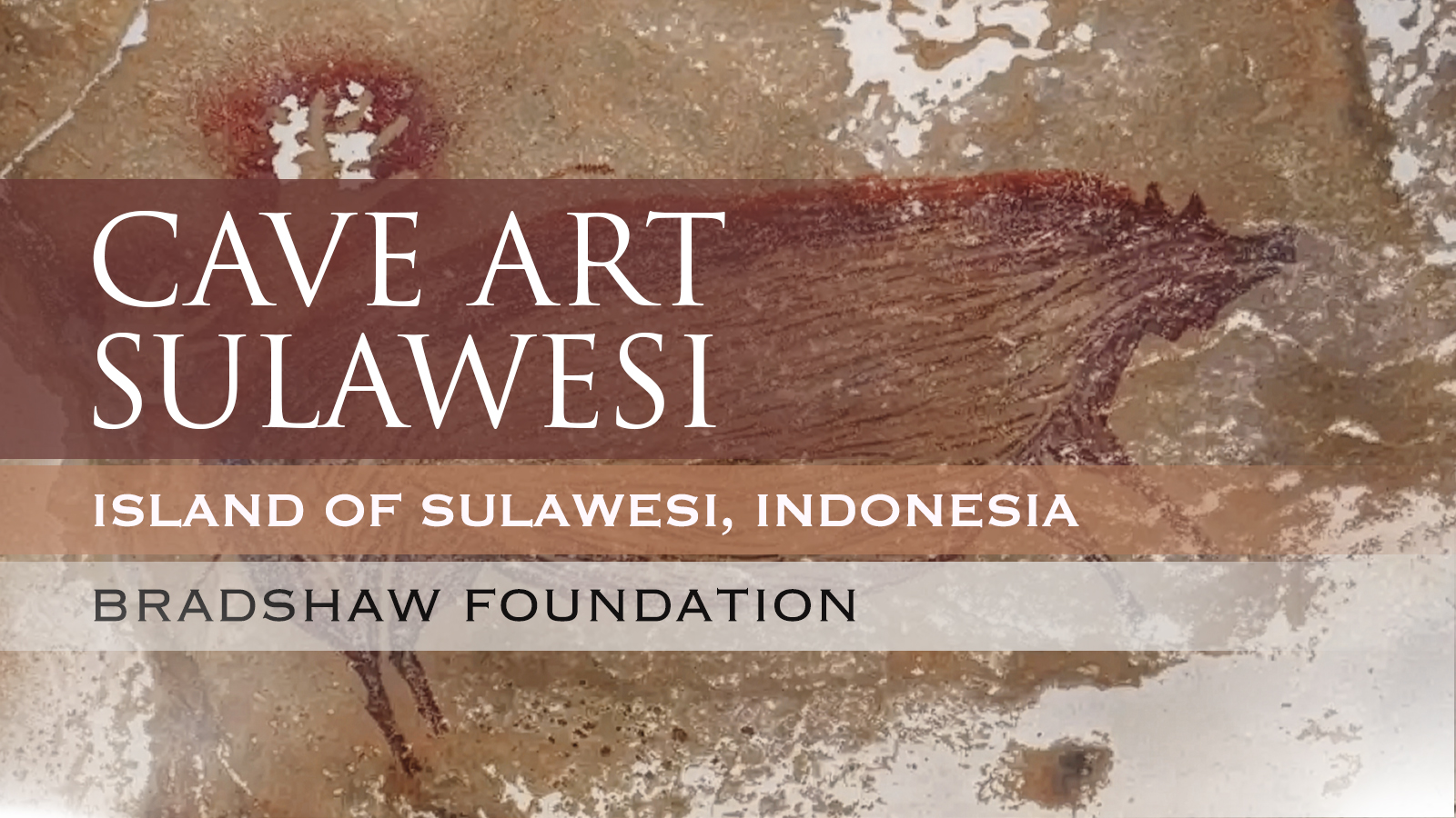 Cave Paintings in Sulawesi Indonesia What The Oldest Known Cave Painting Reveals About Early Humans And What It Doesn't