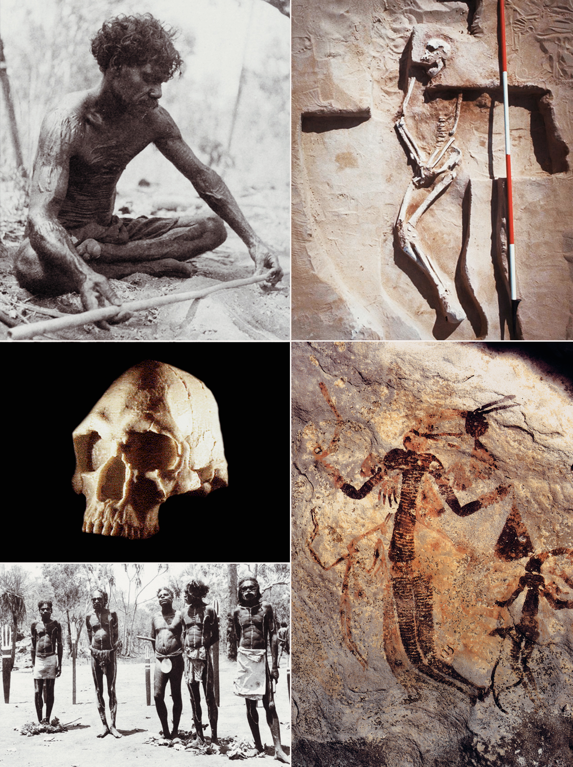 
Research into the first inhabitants of Australia