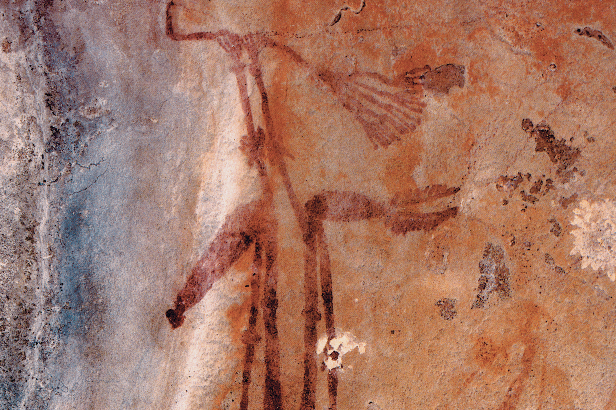 Kimberley Austalia Rock Art Paintings Gwion Gwion