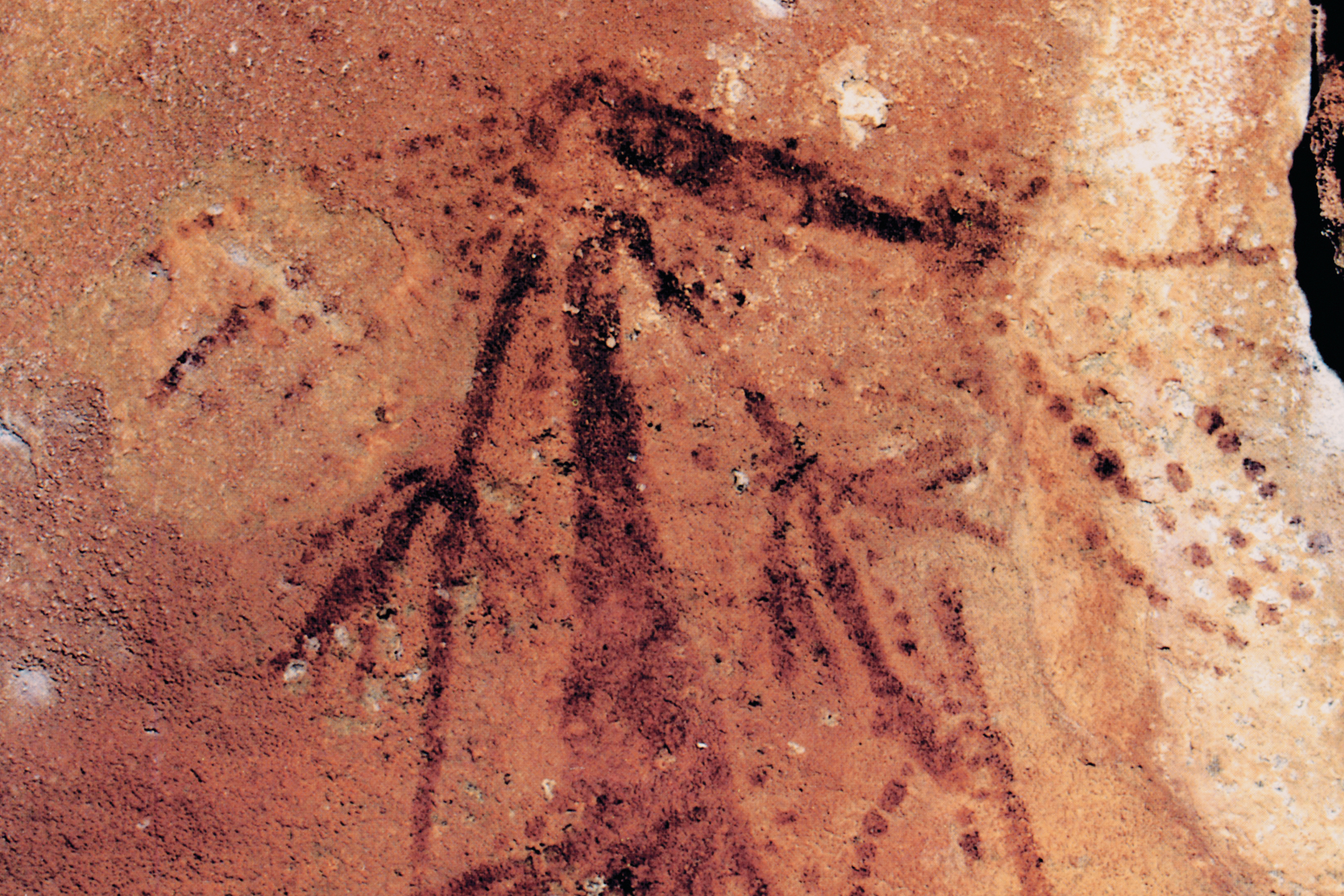 Kimberley Austalia Rock Art Paintings Gwion Gwion