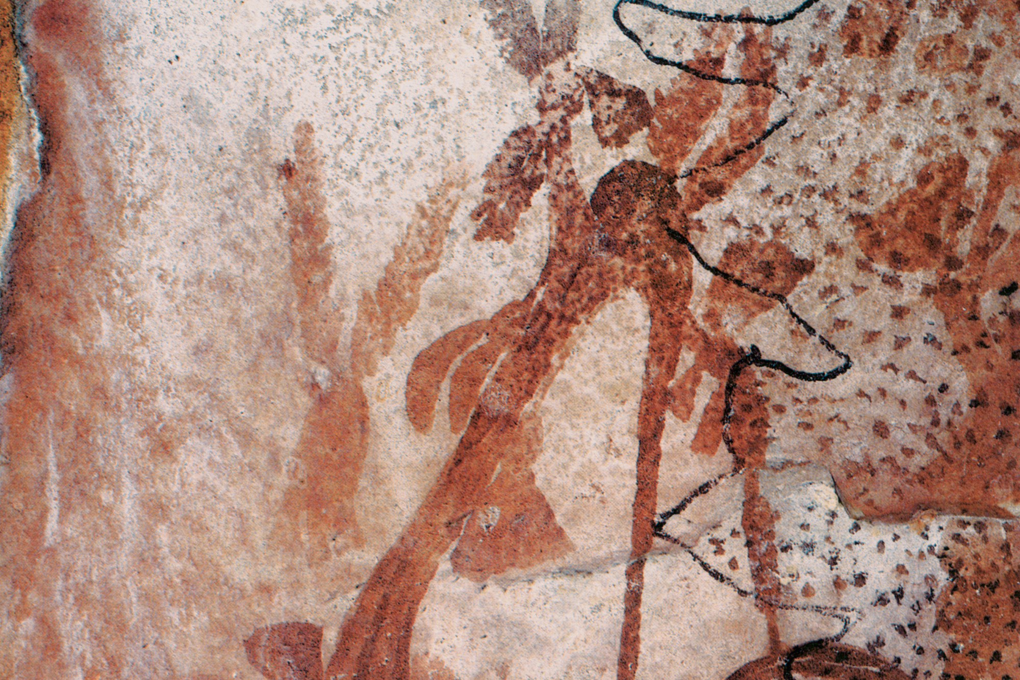 Kimberley Austalia Rock Art Paintings Gwion Gwion