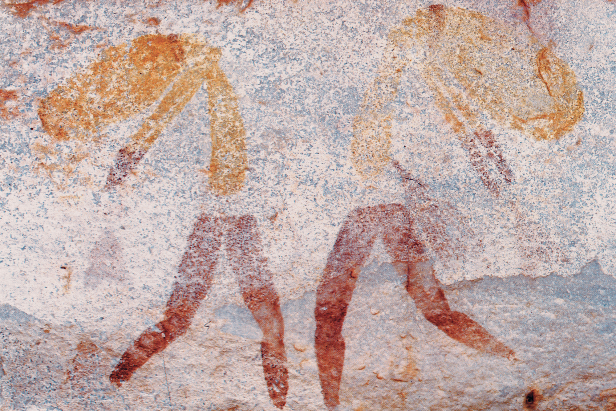 Kimberley Austalia Rock Art Paintings Gwion Gwion