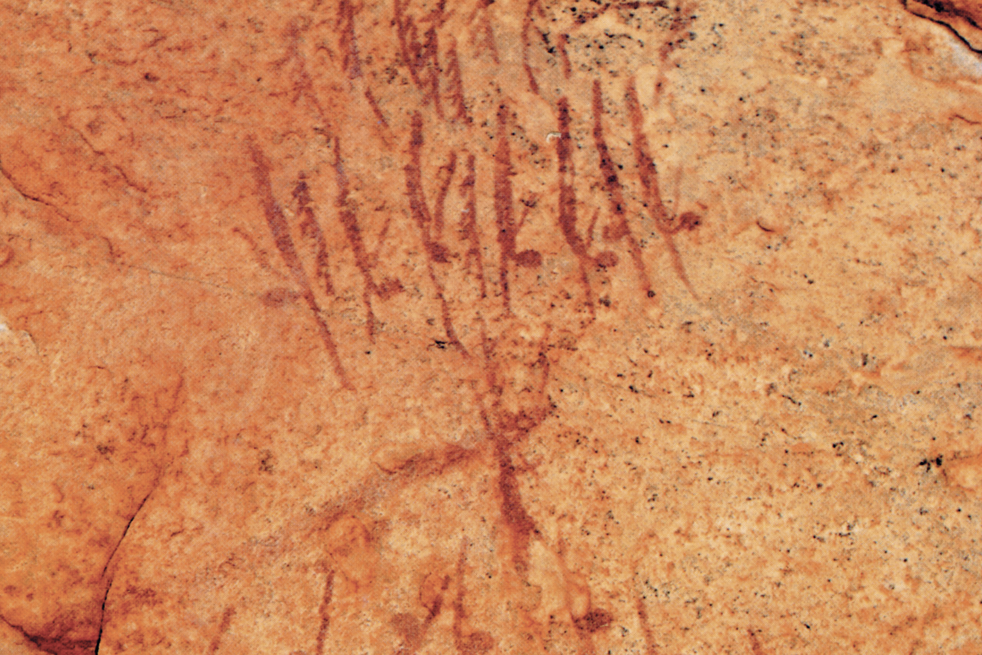 Kimberley Austalia Rock Art Paintings Gwion Gwion