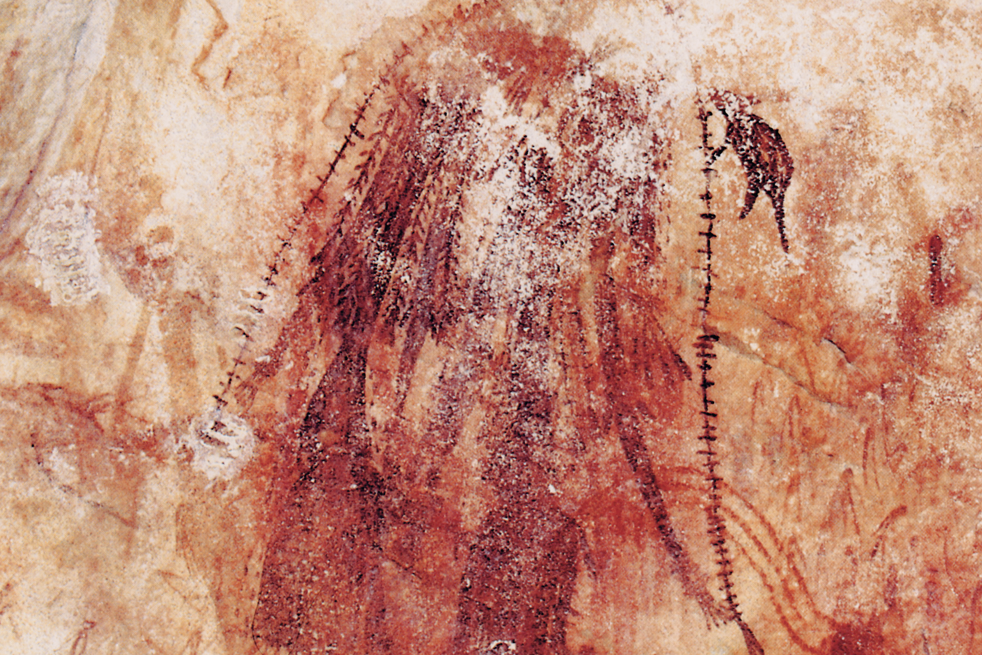 Kimberley Austalia Rock Art Paintings Gwion Gwion