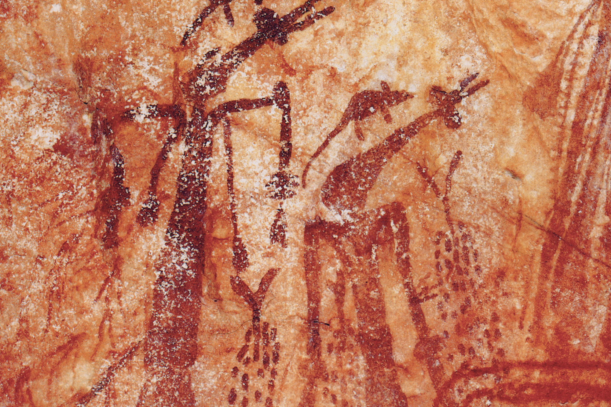 Kimberley Austalia Rock Art Paintings Gwion Gwion