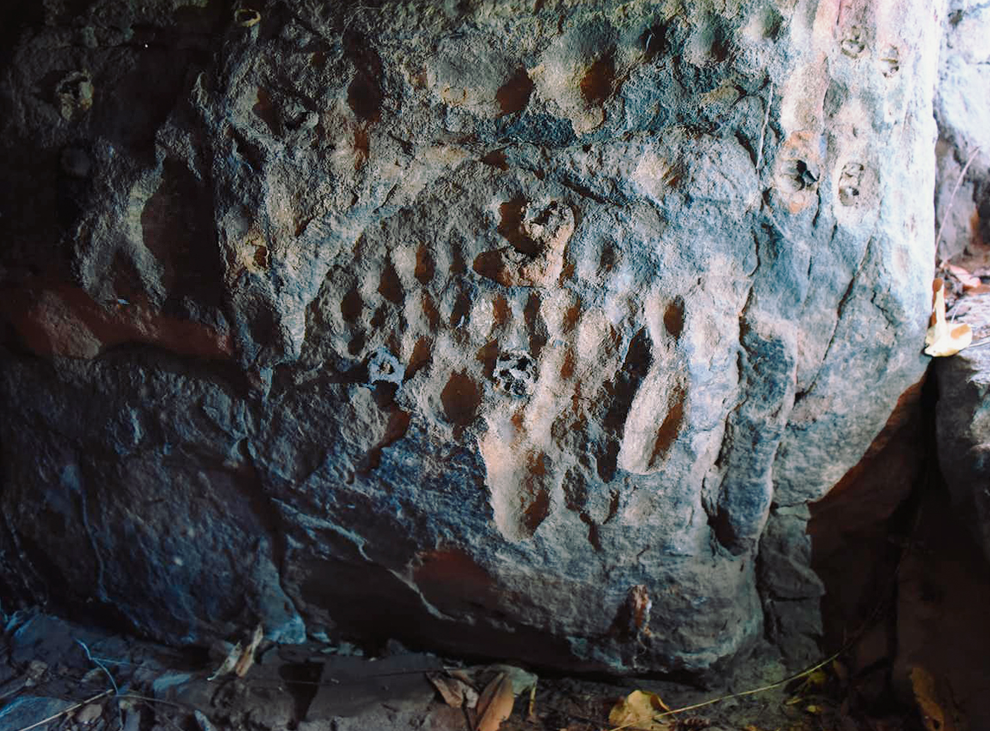Cupules, or circular man-made hollows, ground into a dark mineral coating at a rock art site on the Drysdale River, Balanggarra country