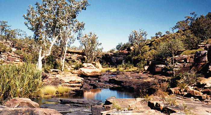 The Kimberley Rock Art North West Australia