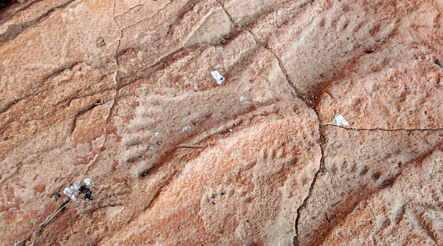 Archaeological and contemporary First Nations interpretations of one of central Queensland’s largest rock art sites