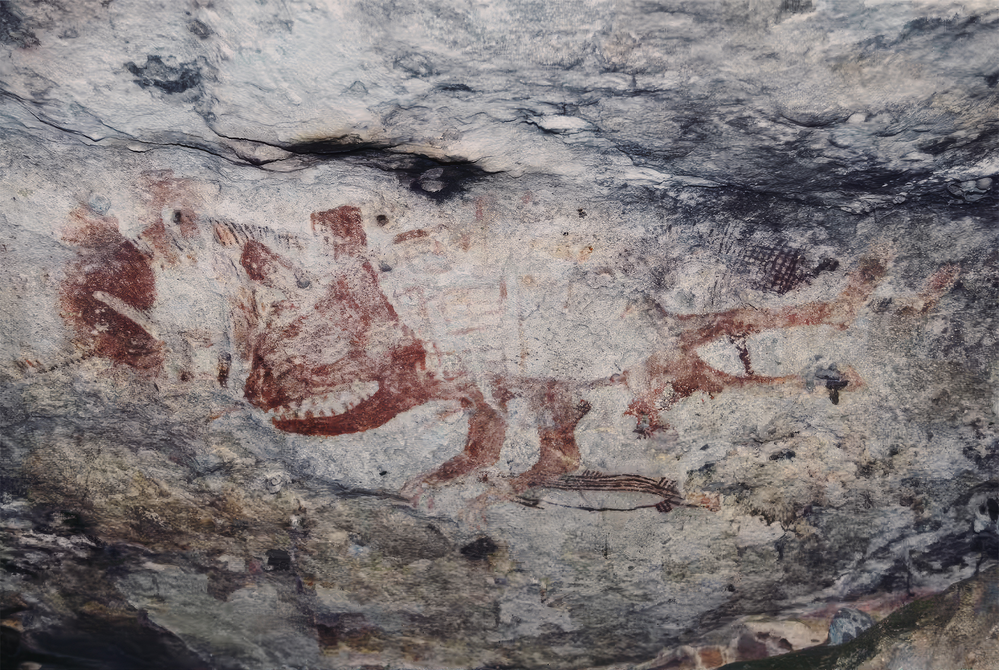A painting of a Tasmanian devil in an Awunbarna cave-like site, in a north-west Arnhem Land style of a few thousand years ago
