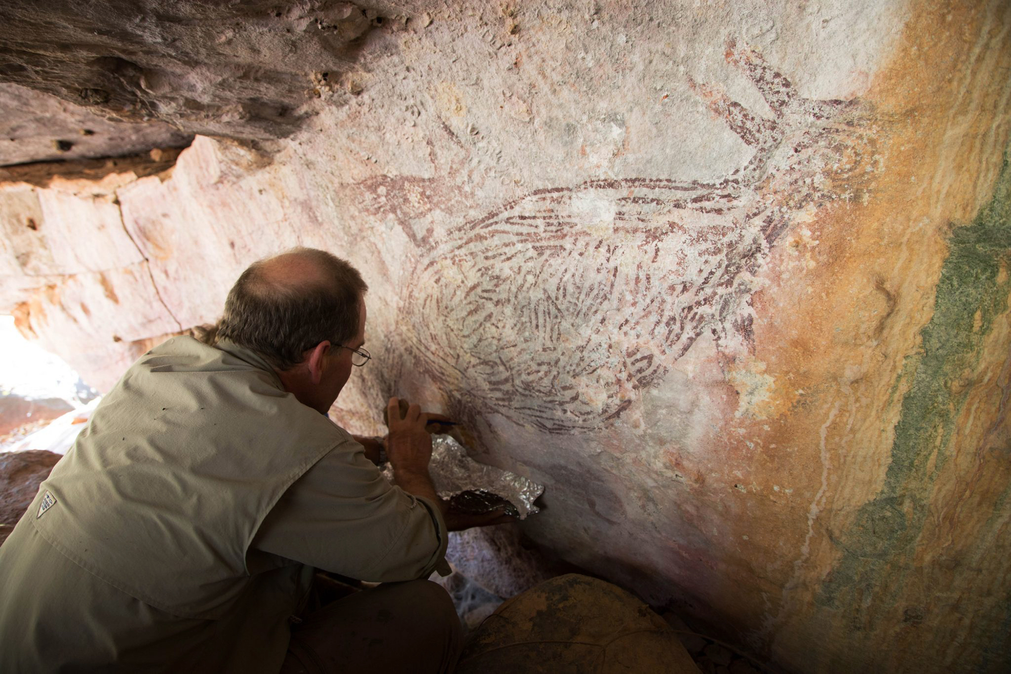 Damien Finch collecting mud wasp nest sample