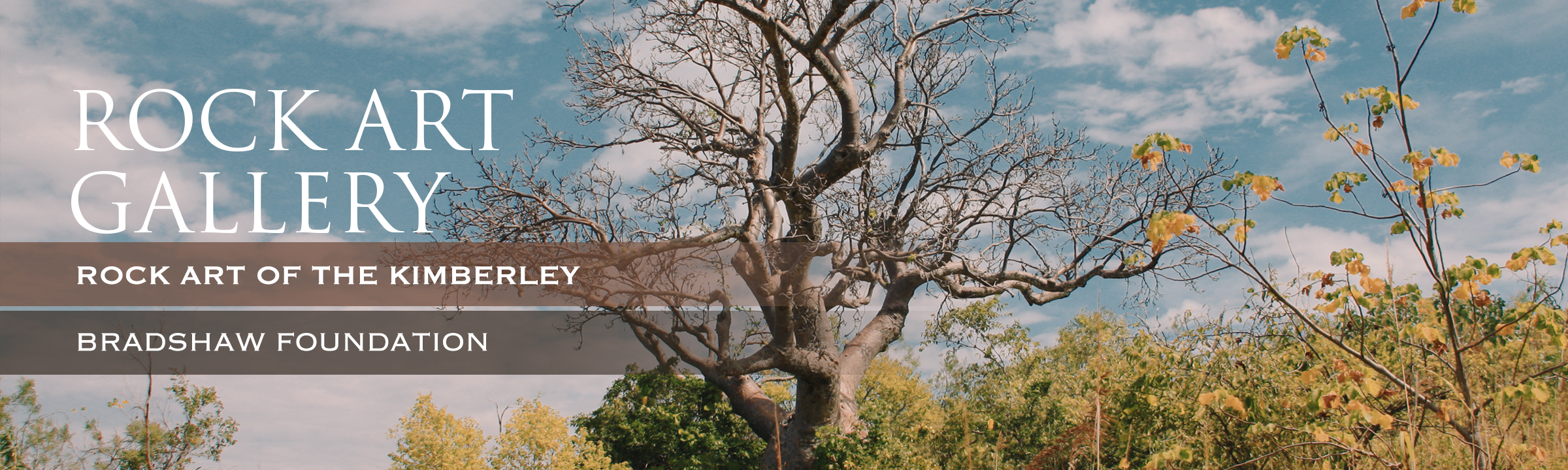 The Rock Art of the Kimberley