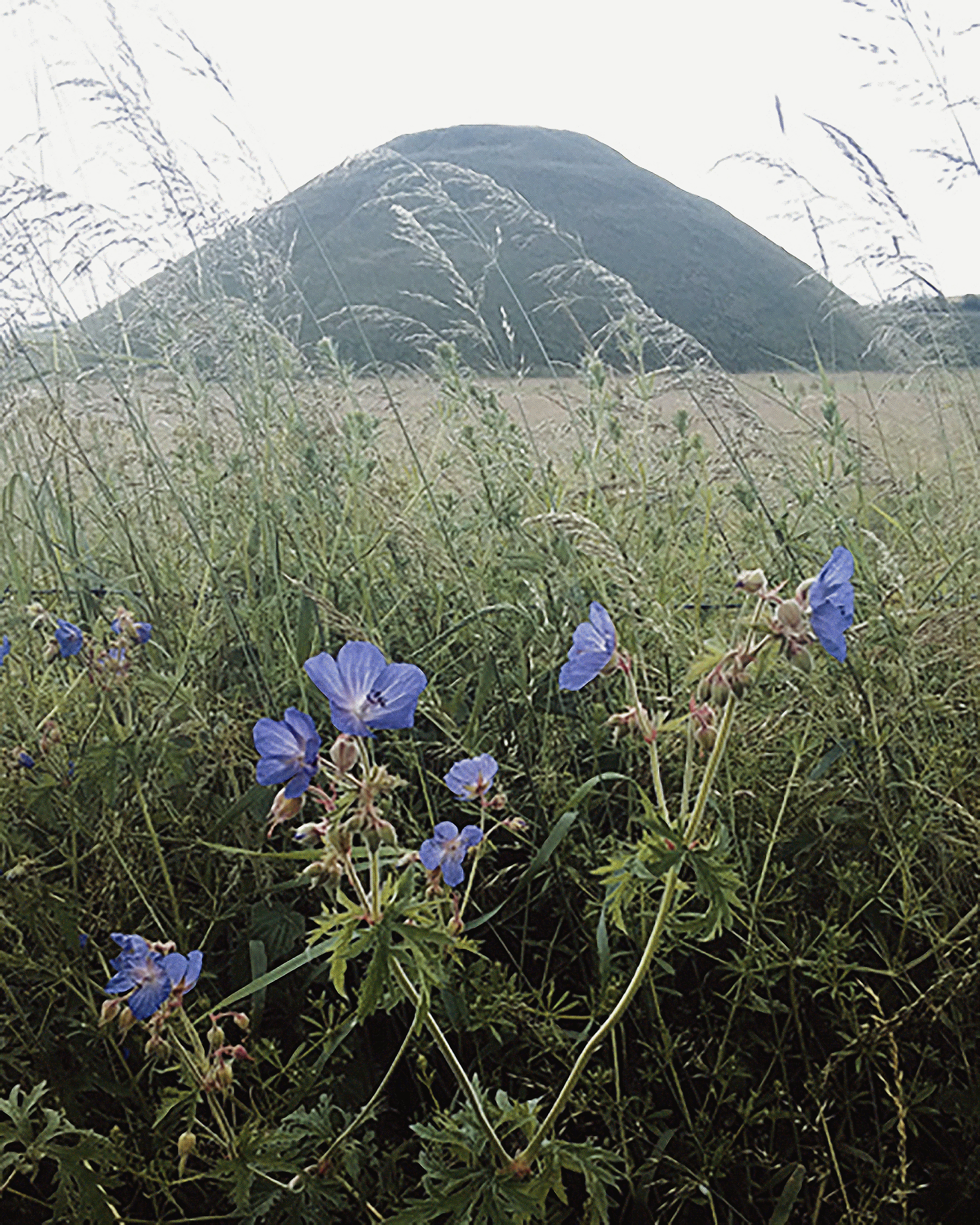 History of Silbury Hill