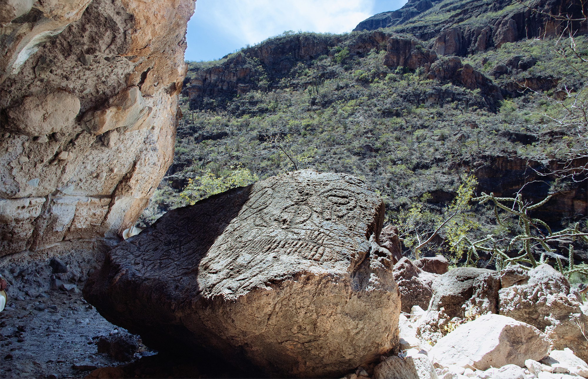 Piedra de Chuy Bradshaw Foundation Baja California Peninsula Mexico California Rock Art Cave Paintings