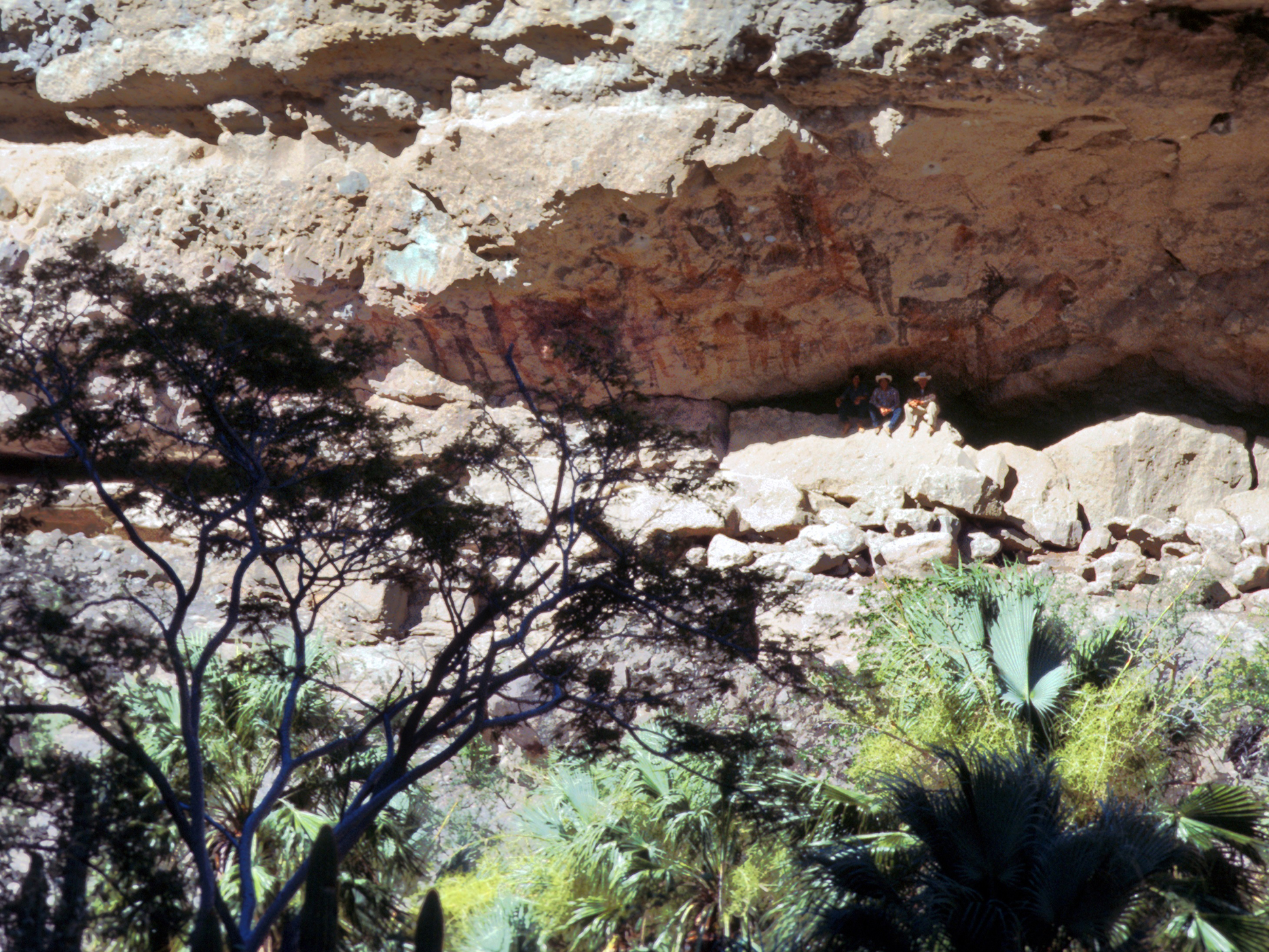 Rock Art Cave Paintings Petroglyphs Pictographs Baja California Mexico Archaeology USA America Bradshaw Foundation